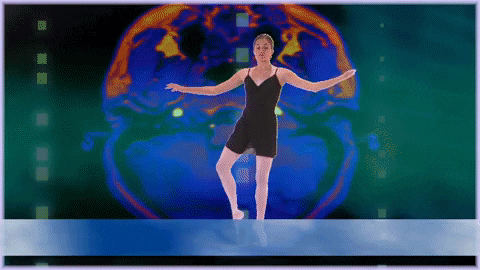 napoleonbonaparte giphyupload GIF