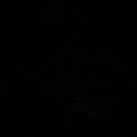 Politica GIF