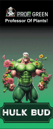 Dance Grow GIF by fenixmtx