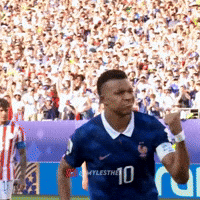 Fifa World Cup Football GIF