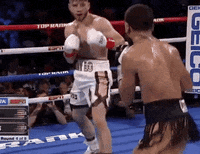 toprank fight boxing fighting espn GIF