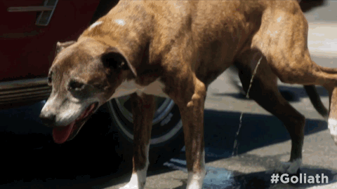 season 1 GIF by Goliath