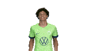 Lets Go Football Sticker by VfL Wolfsburg