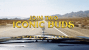 Cheech And Chong Smoke GIF by Cheech & Chong’s Last Movie