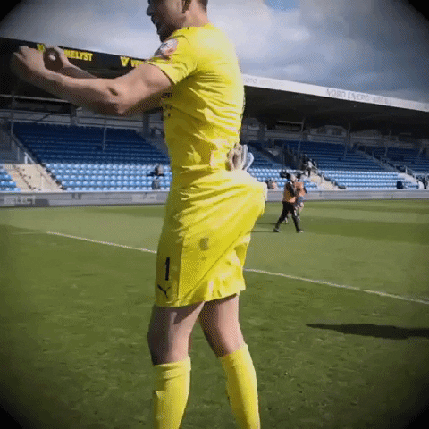HobroIK1913 giphyupload GIF