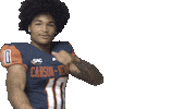 Football Sport Sticker by Carson-Newman Athletics