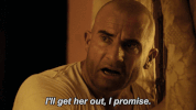 fox GIF by Prison Break