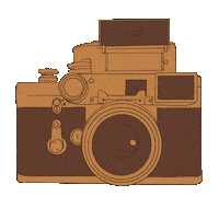 vintage video Sticker by Lost Lily