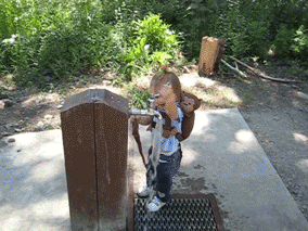 kids lol GIF by America's Funniest Home Videos