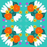 Kaleidoscope Bright Colors GIF by Daisy Lemon