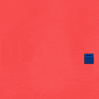 Vote Voting GIF by Jelly London