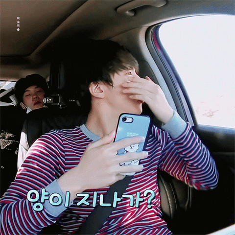 ehdgus1211 giphyupload GIF