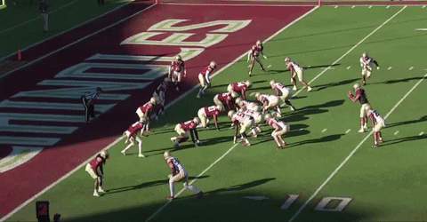 bson1011 giphygifmaker GIF