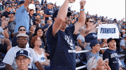 NevadaWolfPack football nevada wolf pack unr GIF