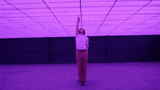 dance i still feel alive GIF by half•alive