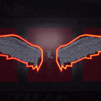 College Football Sport GIF by Louisville Cardinals