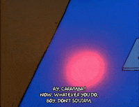 Season 1 GIF by The Simpsons