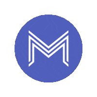 Mark Zuckerberg Facebook Ads Sticker by madgicx