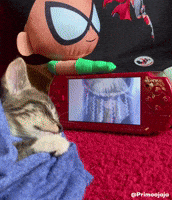 Kitty Peak GIF