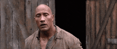 The Rock GIF by Jumanji: The Next Level