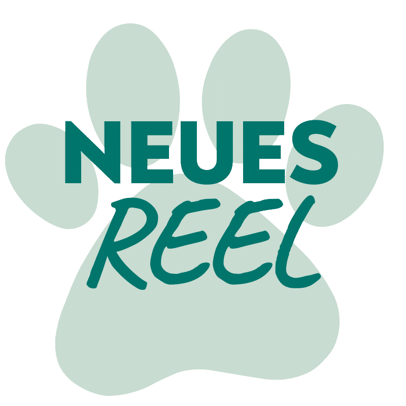 Hund Sticker by HelloBello Frischfutter