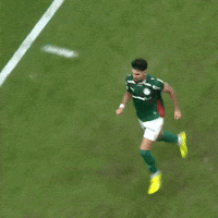 Veiga Ok GIF