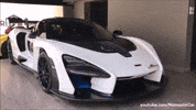 NamasteCar cars race auto british GIF