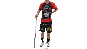 Floorball Salibandy Sticker by F-liiga