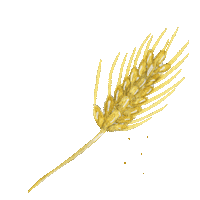 Bread Baking Sticker