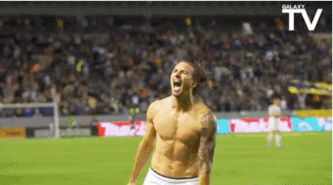Sports gif. Alan Gordon of the Los Angeles Galaxy runs around without a shirt and kicks over a flag in celebration.