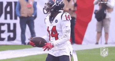 2019 Nfl Football GIF by NFL