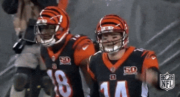 Cincinnati Bengals Football GIF by NFL