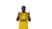 Ewe Baskets Basketball Sticker by EWE Baskets Oldenburg
