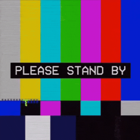 Old School Television GIF by The3Flamingos