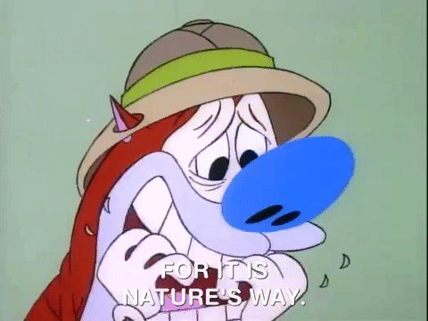 ren and stimpy nicksplat GIF