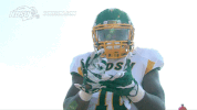 north dakota state football GIF by NDSU Athletics