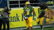 north dakota state football GIF by NDSU Athletics