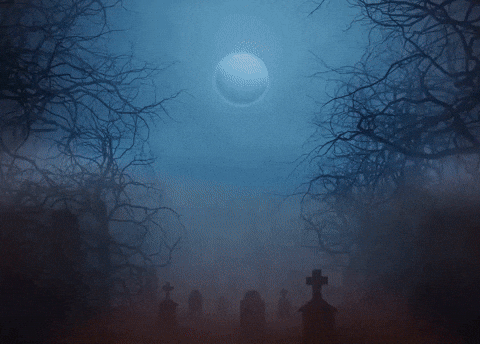 Fight Adventure GIF by Gameforge