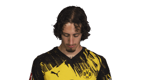 Borussia Dortmund Silva Sticker by Bundesliga