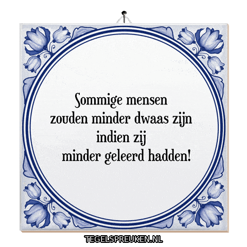 Wijsheid Troost Sticker by Tegelspreuken.nl