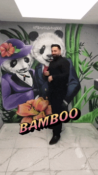 Box Kick GIF by remaxbamboo
