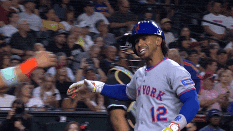Home Run Celebration GIF by New York Mets