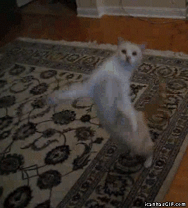baile feliz GIF