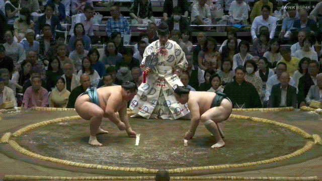TZ85 giphyupload GIF