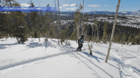 sydisenbergD7 giphygifmaker GIF