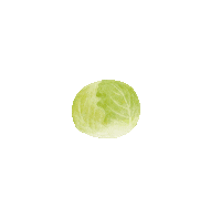 lisachiuqq food illustration vegetable cooker Sticker