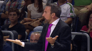 liga endesa what GIF by ACB