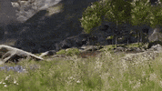 Run Running GIF by Unreal Engine