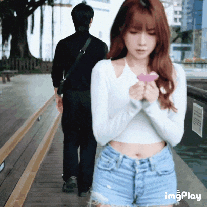 Letter Wtf GIF