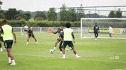 world cup selecao masculina GIF by Confederação Brasileira de Futebol